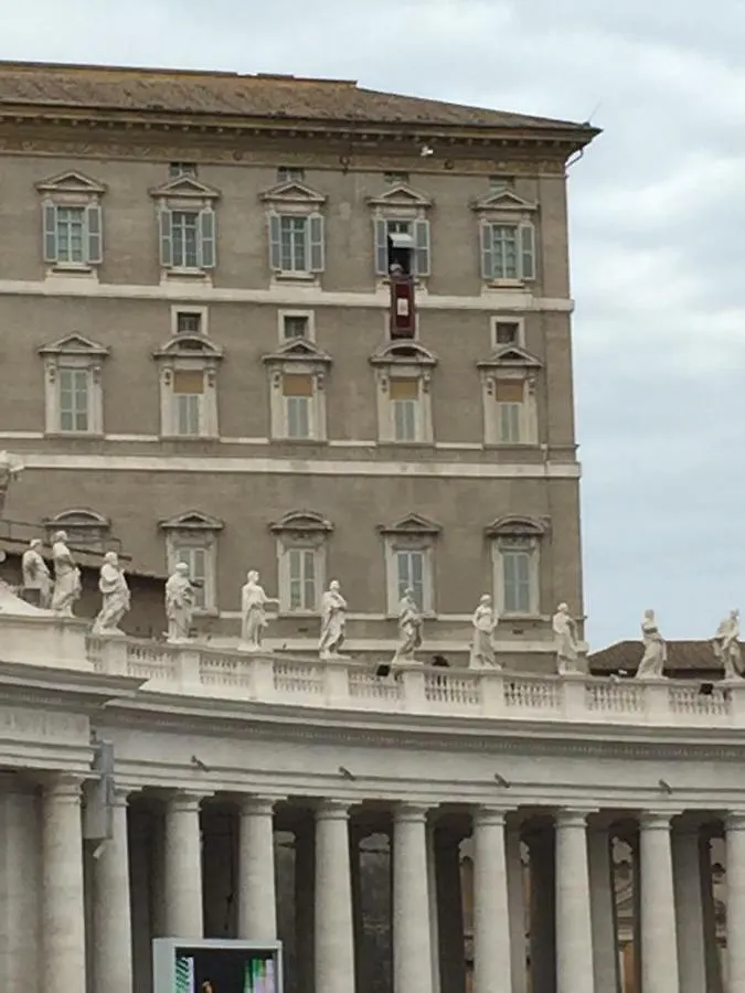 Zeus Inn - Una Finestra Sul Vaticano 罗马 意大利